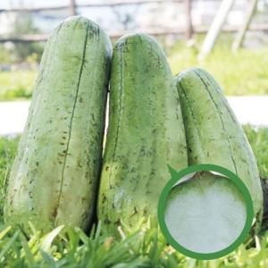 へちまの通販 価格比較 Tira