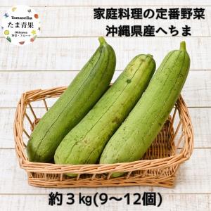 沖縄産 へちま（ナーベーラー）1kg : 沖縄お土産通販 ここち琉球