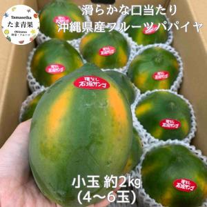 フルーツパパイヤ 約1kg (2~3玉入り)【品種お任せ】沖縄県産 : 沖縄