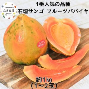 沖縄県産 フルーツパパイヤ 約1kg (2~3玉入り) 甘くてジューシー