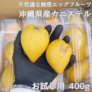 カニステル 2kg （発送開始1月〜6月）なにこれ？ジャガイモ？卵の