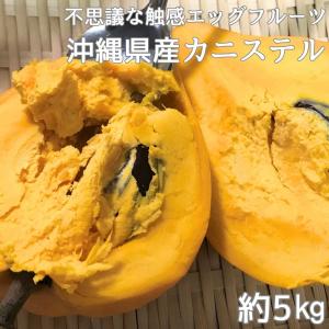 次回入荷までお待ち下さい】沖縄県産ジャックフルーツ : 沖縄市場たま