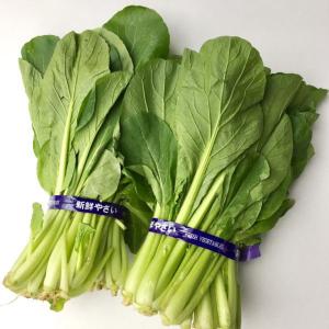小松菜 ２束（約1kg）