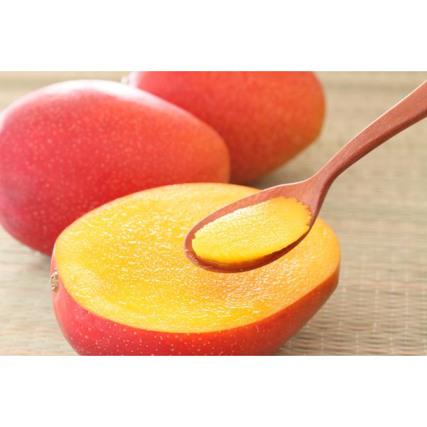優品 アップルマンゴー 約1kg（2〜3玉入り）発送期間7月〜8月下旬 沖縄県産 お中元におすすめ