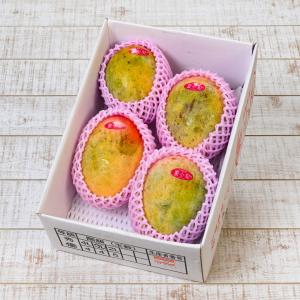 【2025年販売】【訳あり】夏小紅マンゴー 約2ｋｇ（4〜8個） 発送7月下旬〜9月初 新種稀少マンゴー