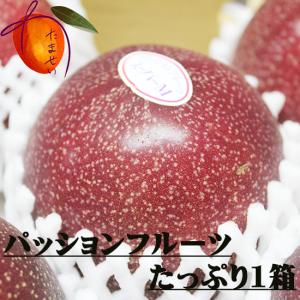 沖縄県産パッションフルーツ１箱　満杯詰め　(８〜１４玉)