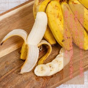 お任せバナナ 食べ比べ 2kg 2〜3種 (日...の詳細画像2
