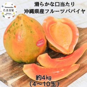 うりずん豆（四角豆）5パック (約500g) 【発送4〜11月】沖縄県産