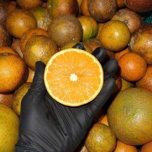 【訳あり】沖縄やんばる伊豆見産 たんかん  約３kg【先行ご予約受付中】≪送料無料≫