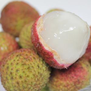 沖縄県産ライチ 500ｇ(品種、サイズお任せ）