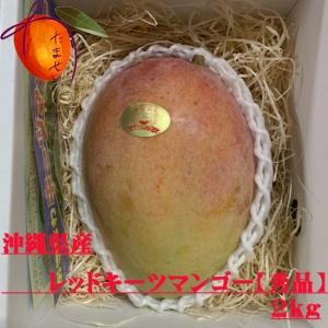 秀品 レッドキーツマンゴー約２kg（2〜4玉）☆送料無料☆発送7月中旬〜8月中旬