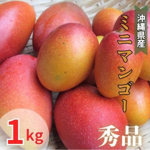 青マンゴー5kg （未熟で酸っぱいマンゴー）摘果マンゴー マムアン