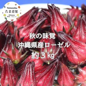 ローゼル 3kg 沖縄県産