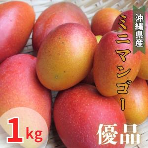ミニマンゴー 家庭用 約1kg 発送6月上旬〜8月下旬 : 沖縄市場たま