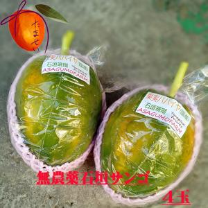 ≪SALE商品≫沖縄県産 フルーツパパイヤ 4玉