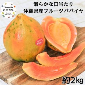 島バナナ 約2kg 「幻の島バナナ」 : 沖縄市場たま青果 - 通販 - Yahoo