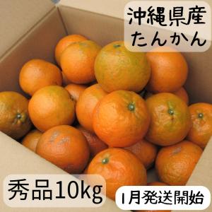 ママちゃん　10kg　タンカン　訳あり　屋久島産　柑橘類　みかん　果物 屋久島たんかん 無農薬 無肥料 10kg l ママちゃん様専用 10kg タンカン