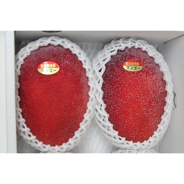 特秀品 宮古島産 マンゴー 贈答用  約1kg （2〜3玉）☆化粧箱入り【送料無料】　発送7月中旬〜...