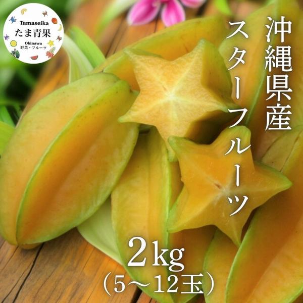 優品 スターフルーツ  約2ｋｇ（5〜12個）沖縄県産 沖縄県産のトロピカルフルーツ・スターフルーツ
