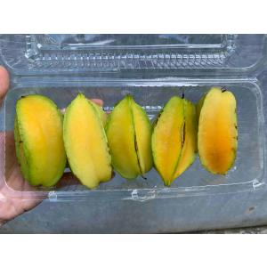 沖縄県産  訳ありスターフルーツ  約1ｋｇ 　　沖縄県産のトロピカルフルーツ・スターフルーツ