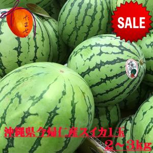 ≪≫今帰仁スイカ 1個（2~3kg）小玉　※欠品時期あり（すいか
