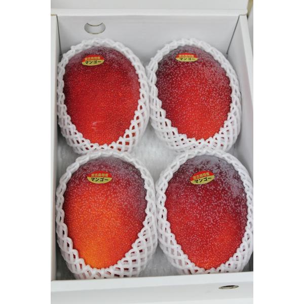 秀品 アップルマンゴー約２kg（3〜6玉入り）☆化粧箱入り☆ 贈答用 沖縄本島産  発送時期 6月末...