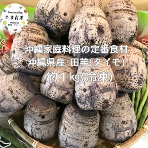 沖縄県産 うりずん豆（琉球四角豆）約５kg 【常温便】③ うりずん豆（四角豆）5パック (約500g) 【発送4〜11月】沖縄県産
