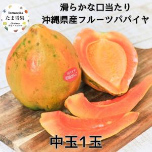 青パパイヤ 約10kg（日付指定不可） 沖縄県産 野菜用 : 沖縄市場たま
