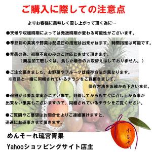 加工用/規格外 マンゴー 沖縄県産 約2kg(...の詳細画像3