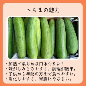 訳あり へちま 約2kg 6〜10本(ナーベラー)の詳細画像1