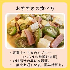 訳あり へちま 約2kg 6〜10本(ナーベラー)の詳細画像2