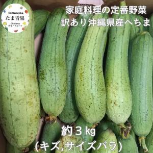 沖縄産 へちま（ナーベーラー）1kg : 沖縄お土産通販 ここち琉球