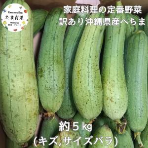 沖縄産 へちま（ナーベーラー）1kg : 沖縄お土産通販 ここち琉球
