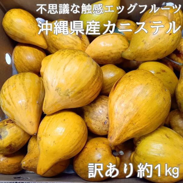 カニステル ☆訳あり☆１ｋｇ(小玉、色むら、キズ)【発送１月〜7月】　なにこれ？ジャガイモ？卵の黄身...