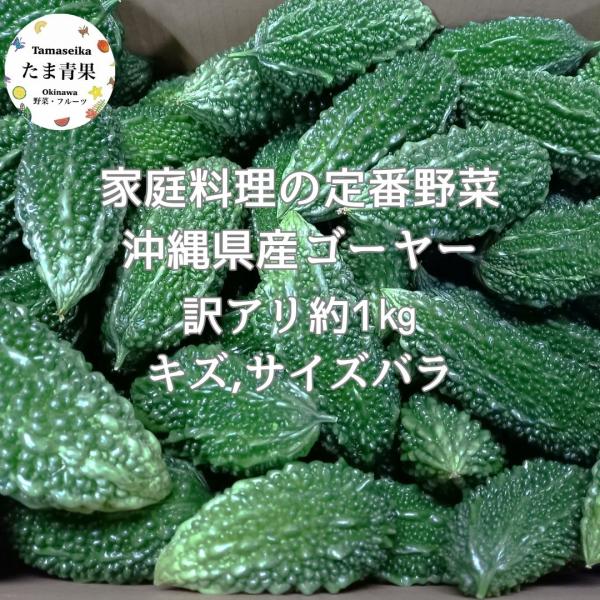 ゴーヤー 訳あり １kg（3〜6本前後）（傷、擦れ、大きさばらつきあり）
