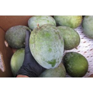 キーツマンゴー 訳あり 2.3kg 以上（2〜5玉入り）沖縄県産