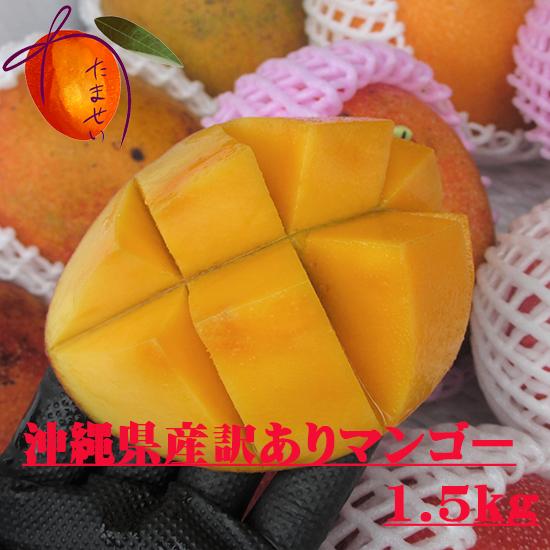 【家庭用】JA選果品 完熟アップルマンゴー1.5kg (3〜6玉) 　【発送7月〜8月下旬頃】