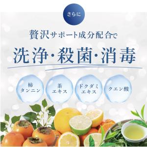 ウィルクレンズ ボディソープの詳細画像4