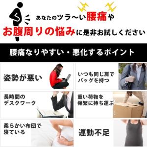 腰痛ベルト 腰楽 コルセット 腰用 サポーター...の詳細画像2