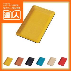 カラーレザータッチキャッシュトレイ CT-131