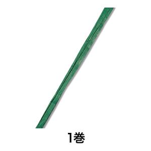 【飾り紐】ペーパーラフィア ５×５０ ＃１０ グリーン｜menubook-tatsujin