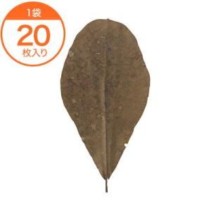 生葉 / 乾燥朴葉（中） ２０枚入
