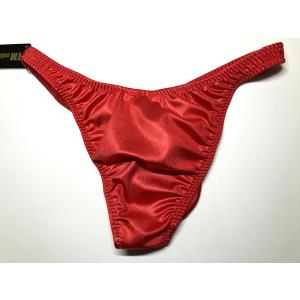 TMコレクション メンズビキニ WET Bul...の詳細画像5