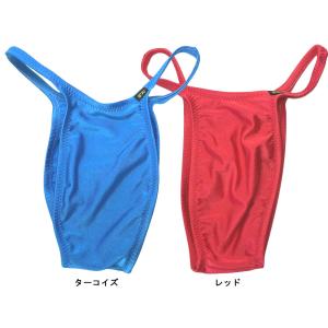 BODYWEAR メンズ水着 ブライトストレッ...の詳細画像2