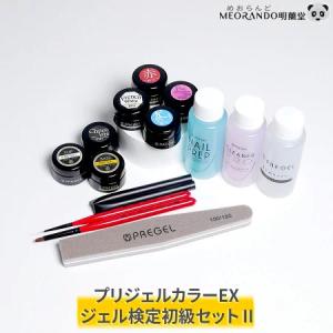 新発売！13点セット 在庫有 プリジェルカラーEX ジェルネイル 検定初級セット２