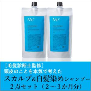 白髪染め スカルプシャンプー リフィル2点セット 汗