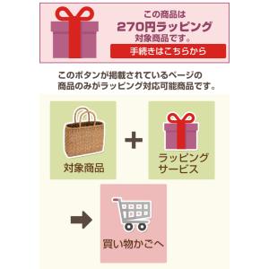 【対象商品のみ】ギフトラッピングサービスの詳細画像1