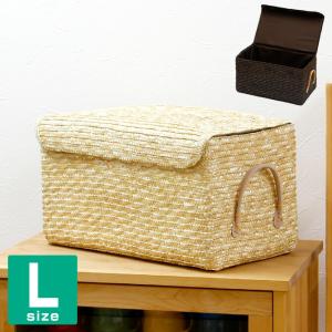 フタ付き 縦長 収納 バスケット L＆LL 2個セット 内布：無地 (ストロー