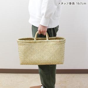 松野屋 リンダバスケット横長小/ リンダ 水草...の詳細画像3