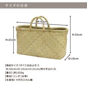 松野屋 リンダバスケット横長小/ リンダ 水草...の詳細画像5